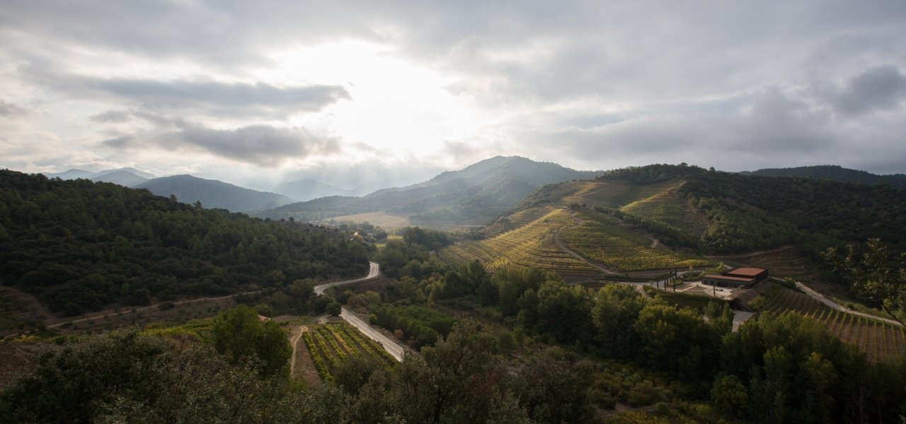 catalonia wine tastings - Wine Paths